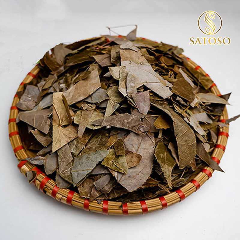 Lá dâm dương hoắc SATOSO