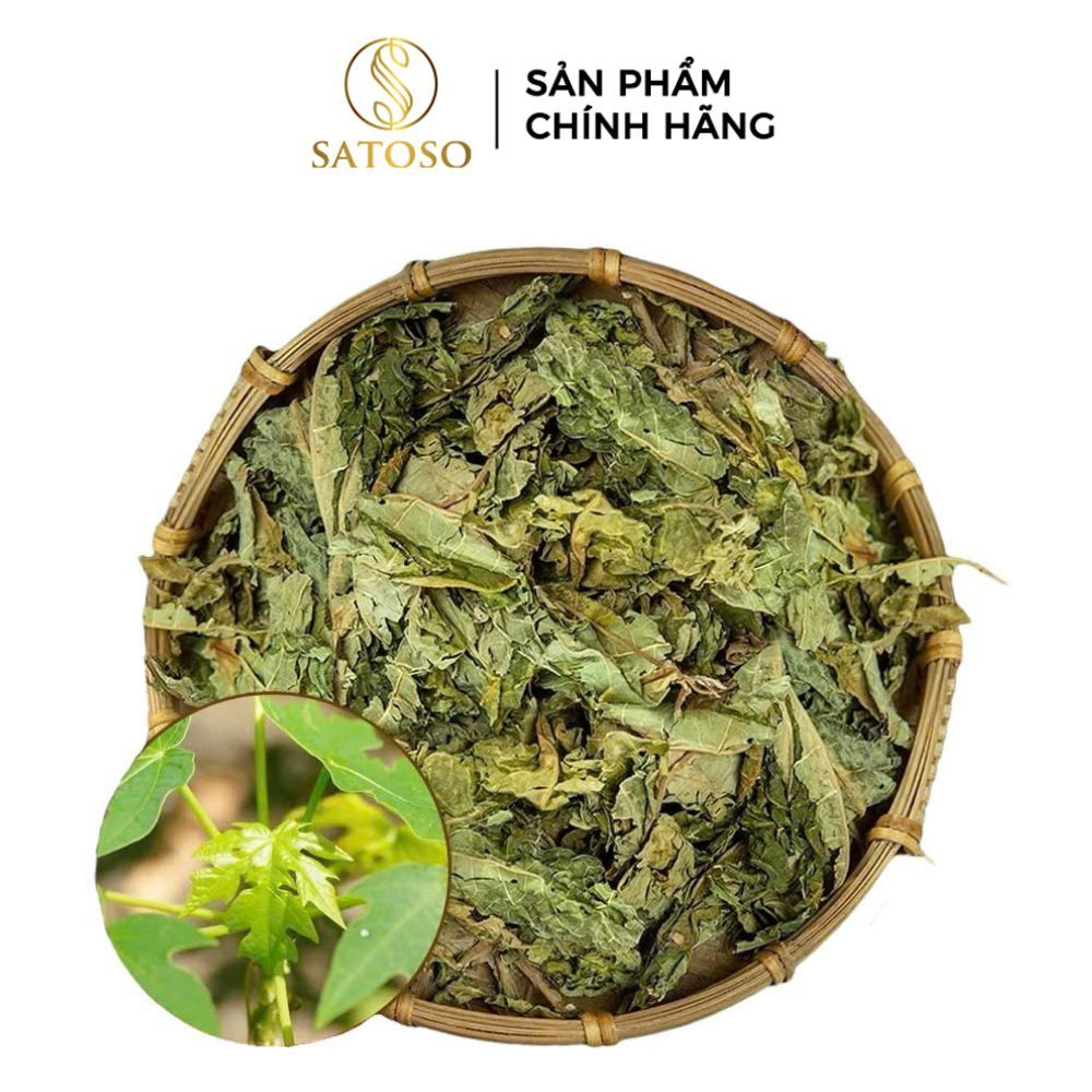 Lá đu đủ đực khô nguyên chất SATOSO