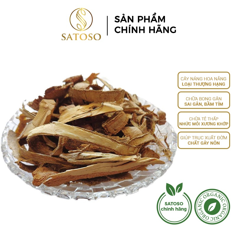 Cây náng hoa trắng khô SATOSO