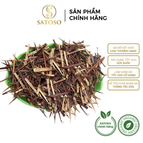 Gai Bồ Kết khô SATOSO