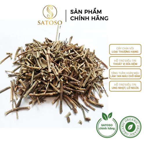 Cây chìa vôi khô SATOSO