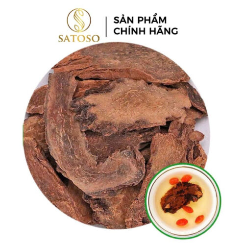 Hà Thủ Ô Đỏ SATOSO