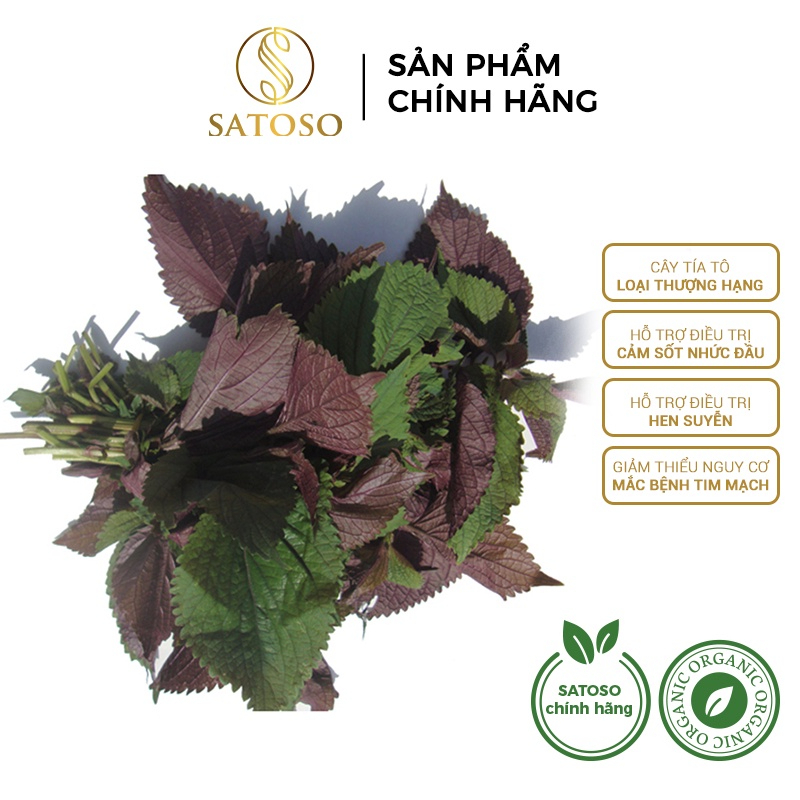 Cây Tía Tô Khô Thượng Hạng SATOSO Thanh Lọc Cơ Thể, Giải Nhiệt Tự Nhiên