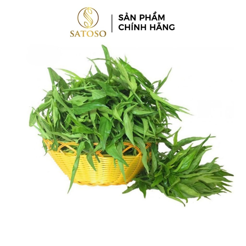 Cây Xương Khỉ Khô SATOSO