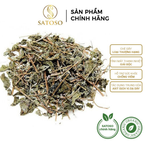 Chè Dây Thượng Hạng Túi Lọc Thương Hiệu Satoso Hỗ Trợ Sức Khoẻ