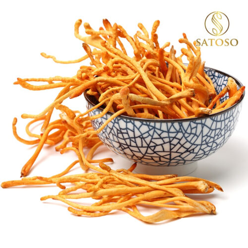 Đông trùng hạ thảo sấy thăng hoa thương hiệu SATOSO