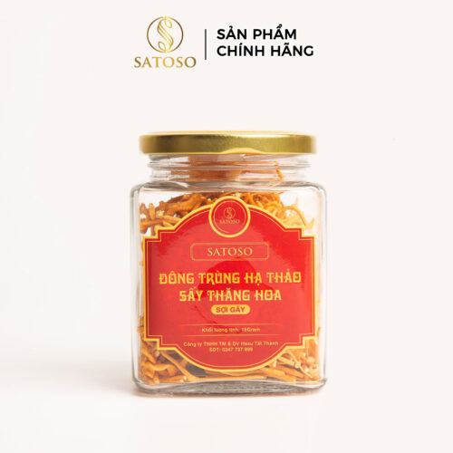 Đông trùng hạ thảo Sợi Gãy sấy khô thượng SATOSO