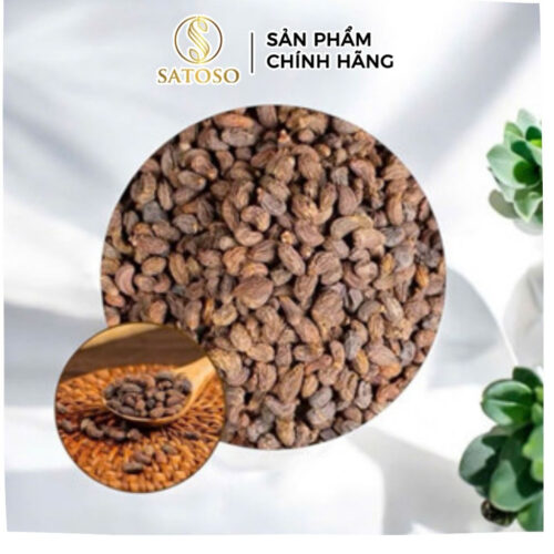 Nữ Trinh Tử Khô SATOSO