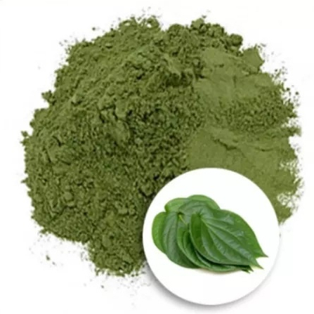 Bột lá trầu không SATOSO - Ảnh 2