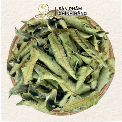 Lá ổi khô thượng hạng SATOSO