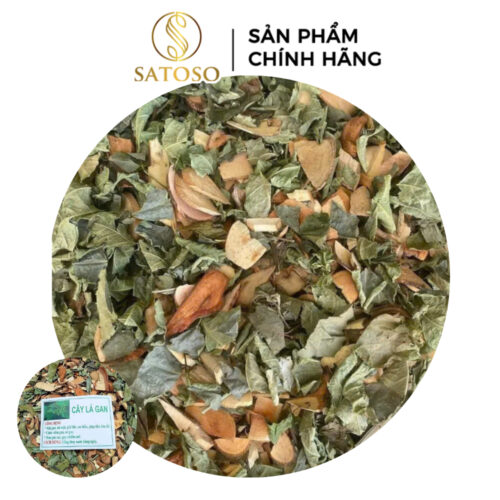 Cây Lá Gan Khô Thượng Hạng SATOSO