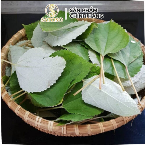 Lá Gai Khô SATOSO Hỗ Trợ Thanh Nhiệt, Tốt Cho Sức Khỏe