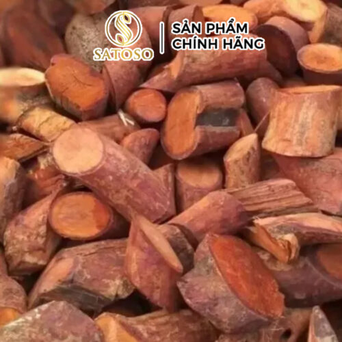 Rễ Cây Mú Từn Khô SATOSO