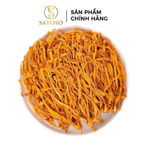 Đông Trùng Hạ Thảo Sấy Nhiệt Thượng Hạng SATOSO