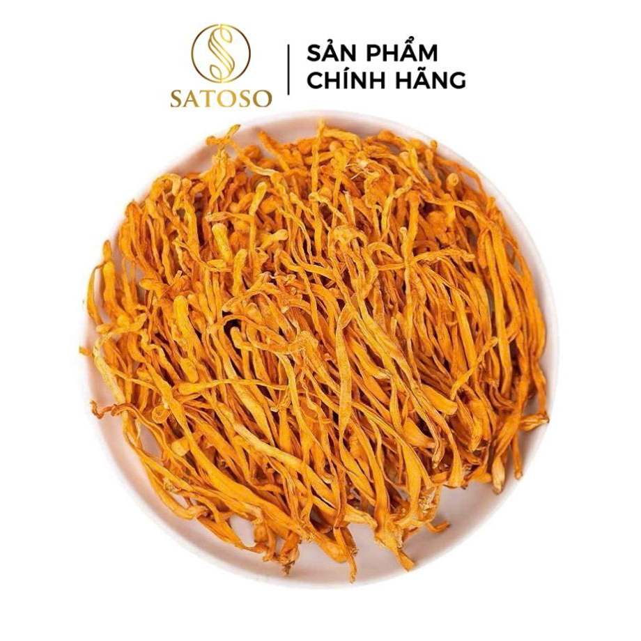 Đông Trùng Hạ Thảo Sấy Nhiệt Thượng Hạng SATOSO