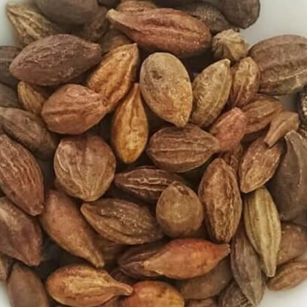 Kha tử khô SATOSO - Ảnh 2