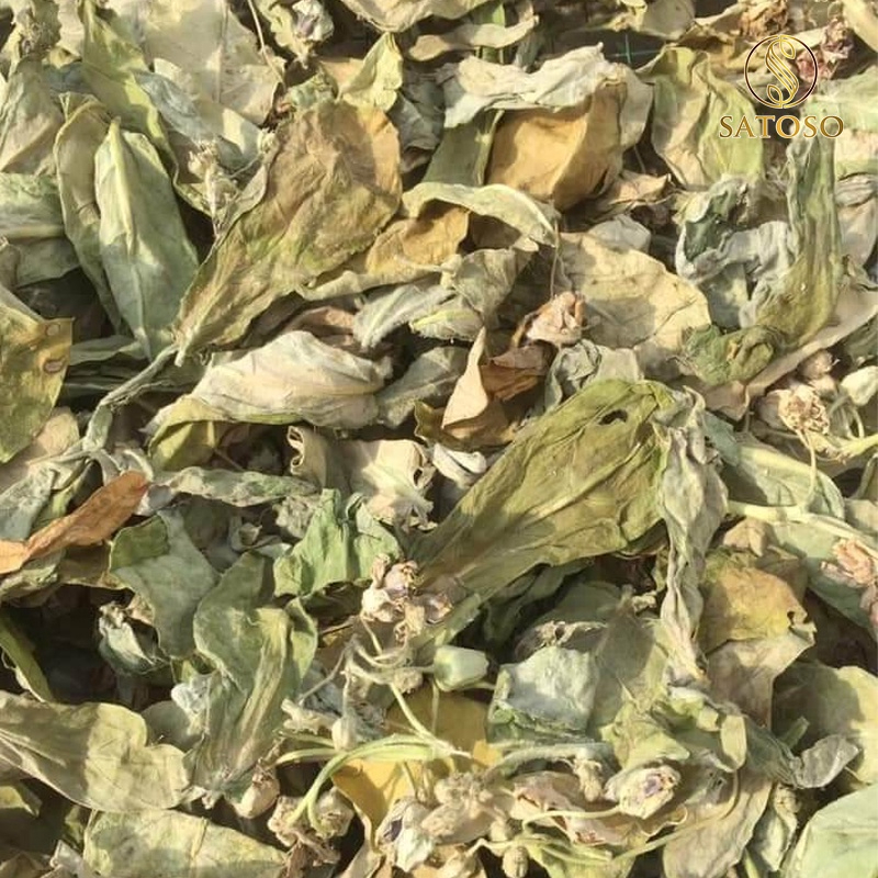 Cây lá hen khô SATOSO - Ảnh 2