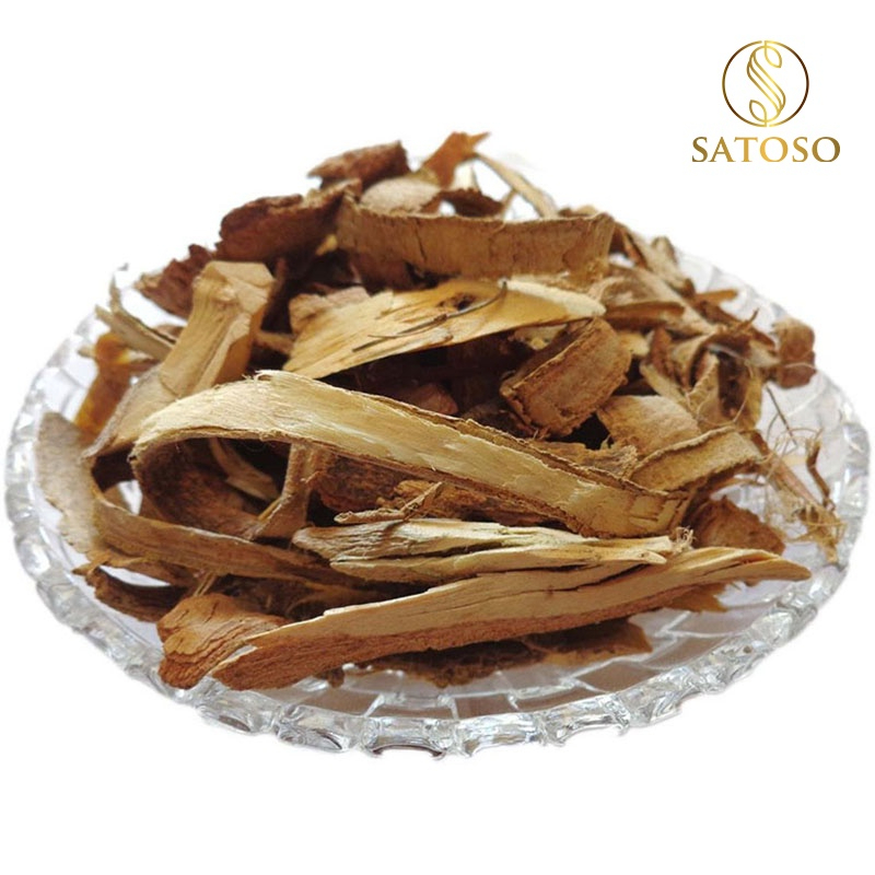 Cây náng hoa trắng khô SATOSO - Ảnh 2