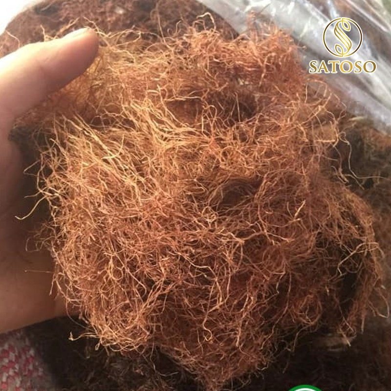 Râu ngô SATOSO thượng hạng thơm, sạch hỗ trợ thanh nhiệt - Ảnh 2