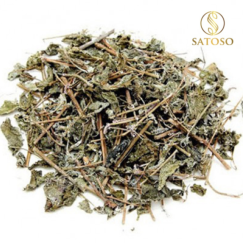 Chè dây Cao Bằng thượng hạng SATOSO - Ảnh 2