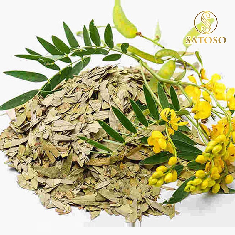 Lá Phan Tả Diệp Khô SATOSO - Ảnh 5