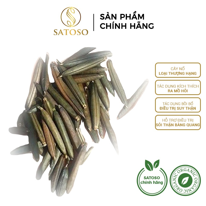 Cây Nổ Khô SATOSO