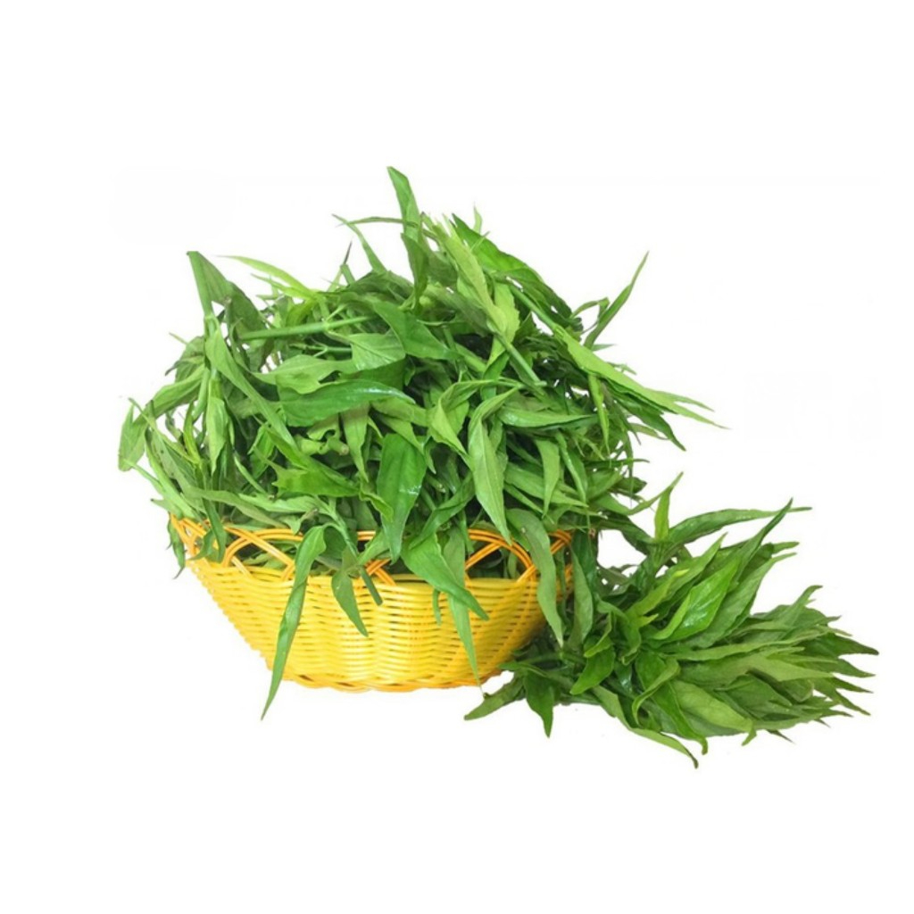 Cây Xương Khỉ Khô SATOSO - Ảnh 2