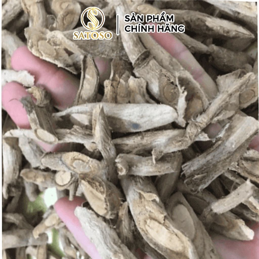 Sâm Xuyên Đá Sấy Khô SATOSO - Ảnh 2