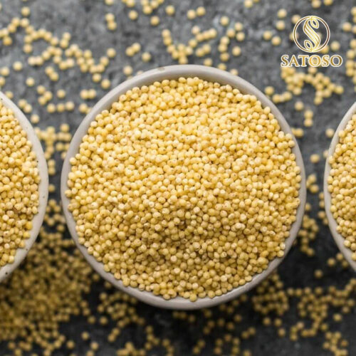 Hạt Kê Nếp Vàng SATOSO