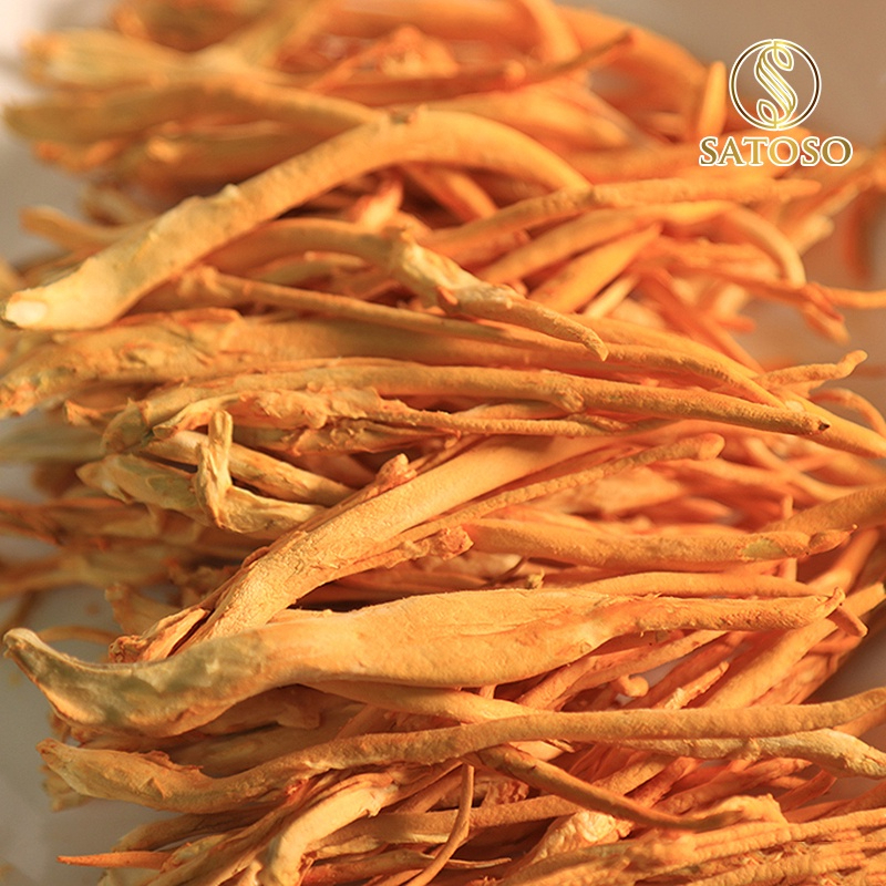 Đông trùng hạ thảo sấy thăng hoa thương hiệu SATOSO - Ảnh 2