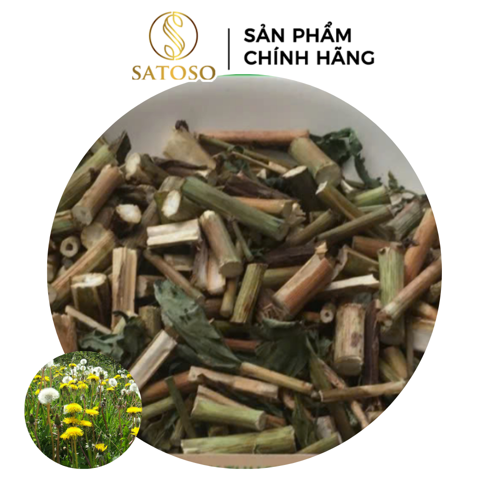 Thân Cây Bồ Công Anh Khô Sạch Thượng Hạng SATOSO - Ảnh 4