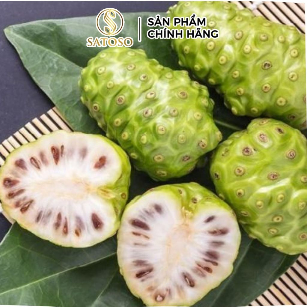 Trái Nhàu Khô SATOSO Hỗ Trợ Sức Khỏe, Tăng Cường Đề Kháng - Ảnh 2