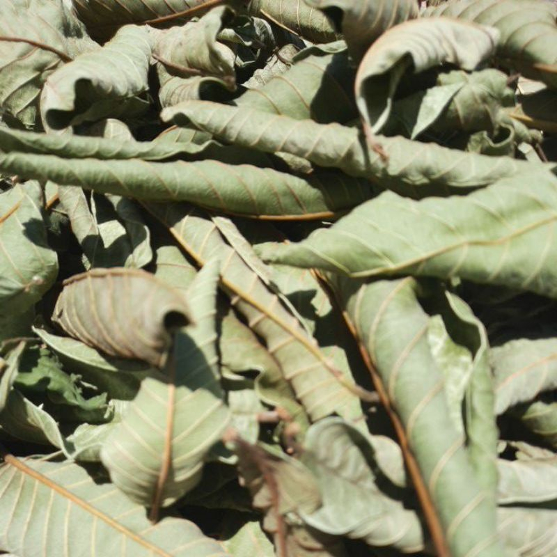 Lá ổi khô túi lọc thượng hạng SATOSO - Ảnh 3