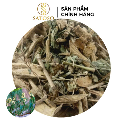 Cây Dạ Cẩm Khô SATOSO