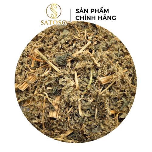 Cây Dền Gai Khô Thương Hiệu SATOSO