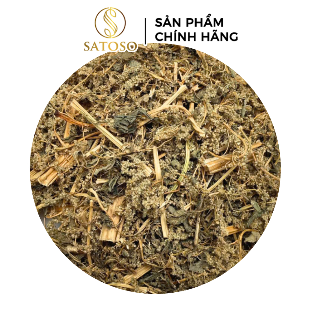 Cây Dền Gai Khô Thương Hiệu SATOSO