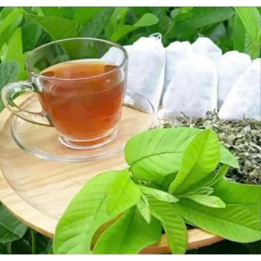 Trà Lá Ổi Dạng Túi Lọc Satoso Thượng Hạng Hỗ Trợ Sức Khoẻ - Ảnh 2