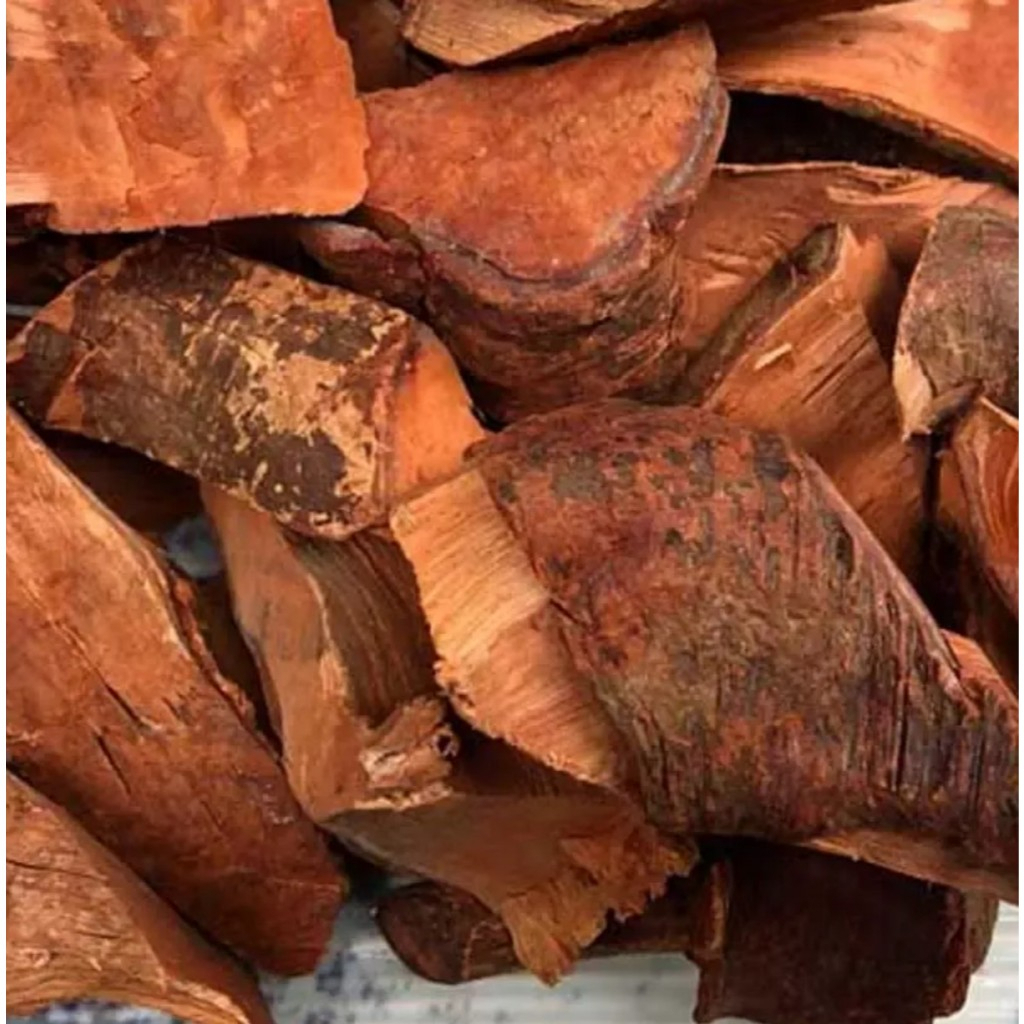 Rễ Cây Mú Từn Khô SATOSO - Ảnh 2