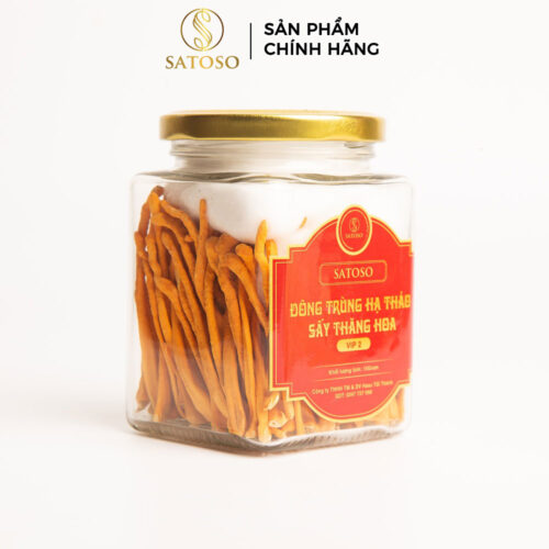 Đông Trùng Hạ Thảo Sấy Thăng Hoa VIP2 SATOSO 15g Thượng Hạng, Tốt Cho Sức Khỏe, Dưỡng Chất Cao