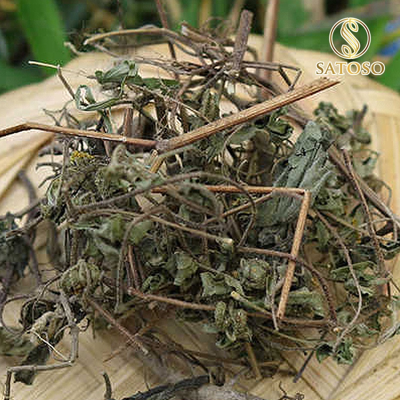 Cây hy thiêm khô SATOSO - Ảnh 2