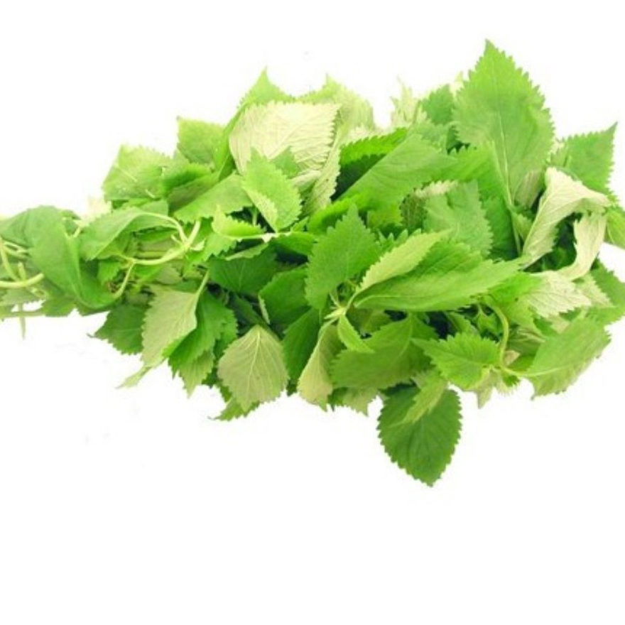 Cây Kinh Giới sấy khô SATOSO - Ảnh 2