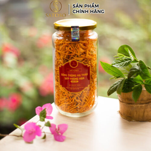 Đông trùng hạ thảo sấy khô loại sợi gãy thương hiệu SATOSO