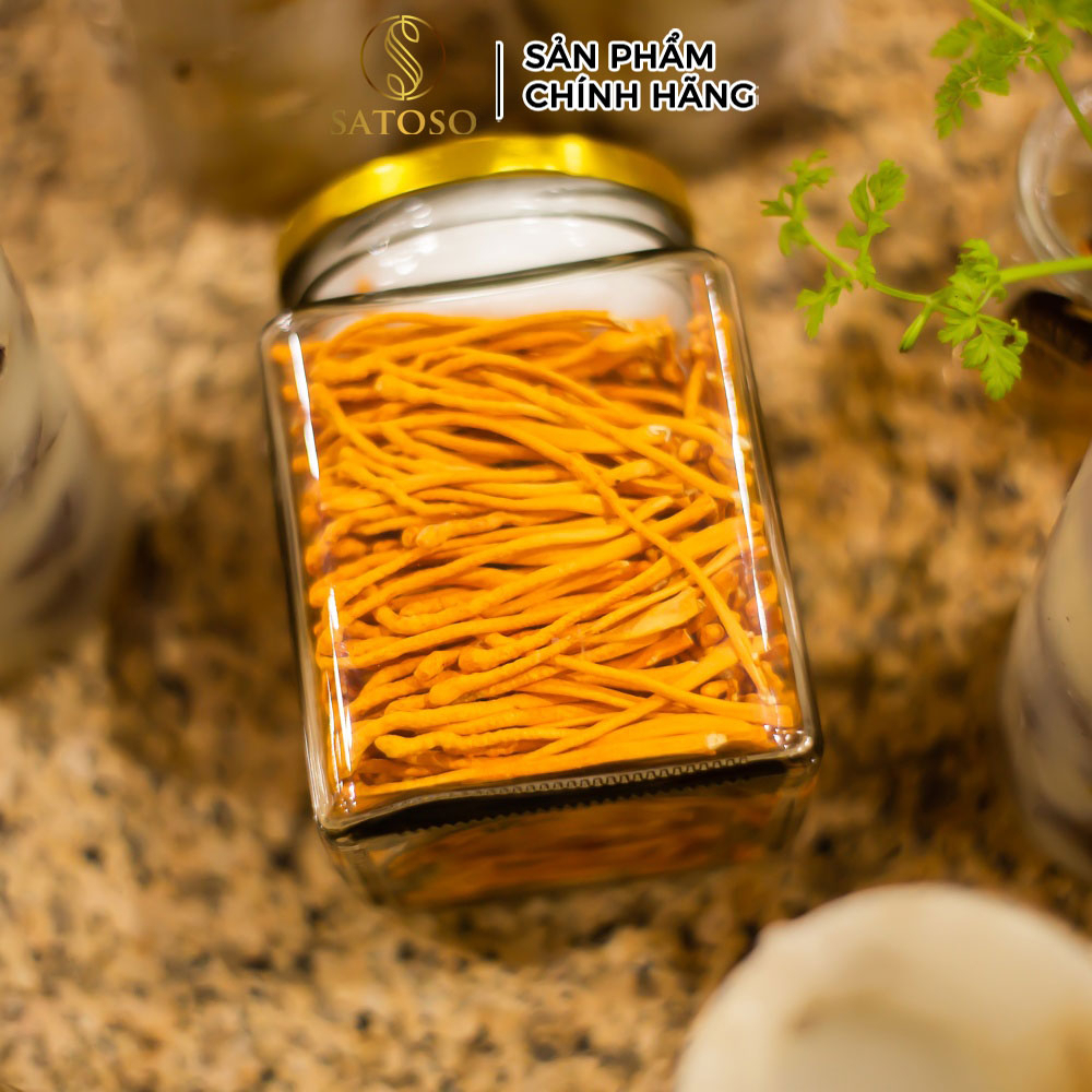 Đông Trùng Hạ Thảo Sấy Khô SATOSO VIP 2 Dưỡng Chất Quý Cho Sức Khỏe Toàn Diện - Ảnh 3
