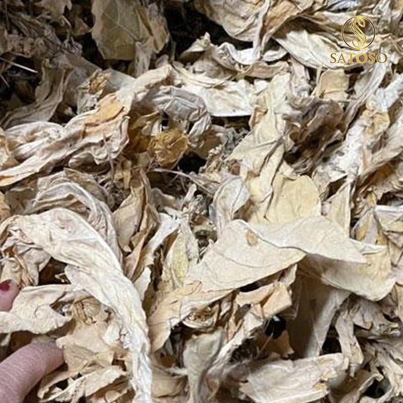 Cây lá hen khô SATOSO - Ảnh 3