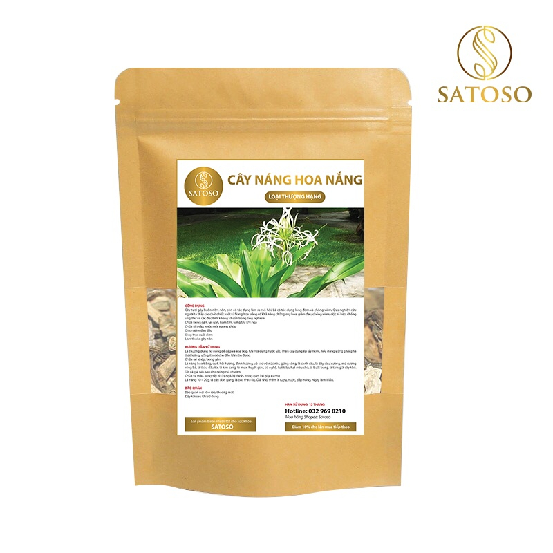 Cây náng hoa trắng khô SATOSO - Ảnh 3