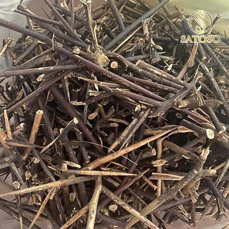 Gai Bồ Kết khô SATOSO - Ảnh 3