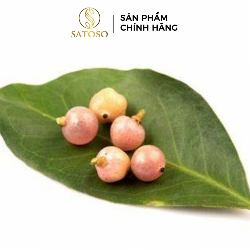 Cây Bưởi Bung Khô SATOSO - Ảnh 3