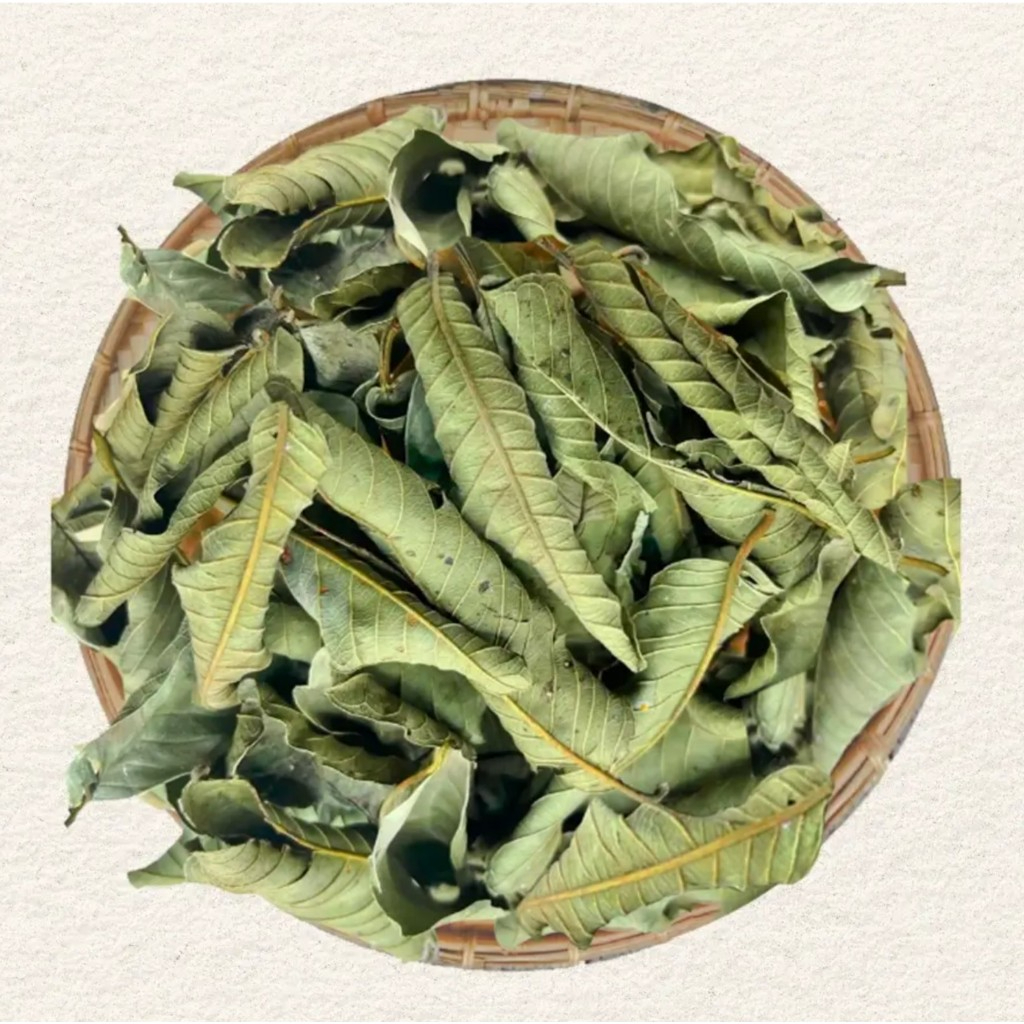 Lá ổi khô thượng hạng SATOSO - Ảnh 3