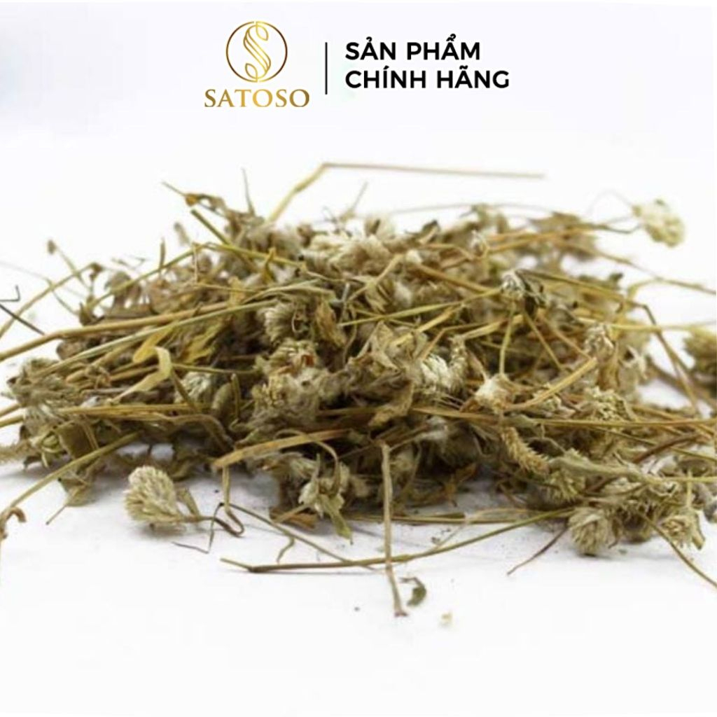Cây Nở Ngày Đất Khô SATOSO Thảo Dược Tự Nhiên Hỗ Trợ Sức Khỏe - Ảnh 3