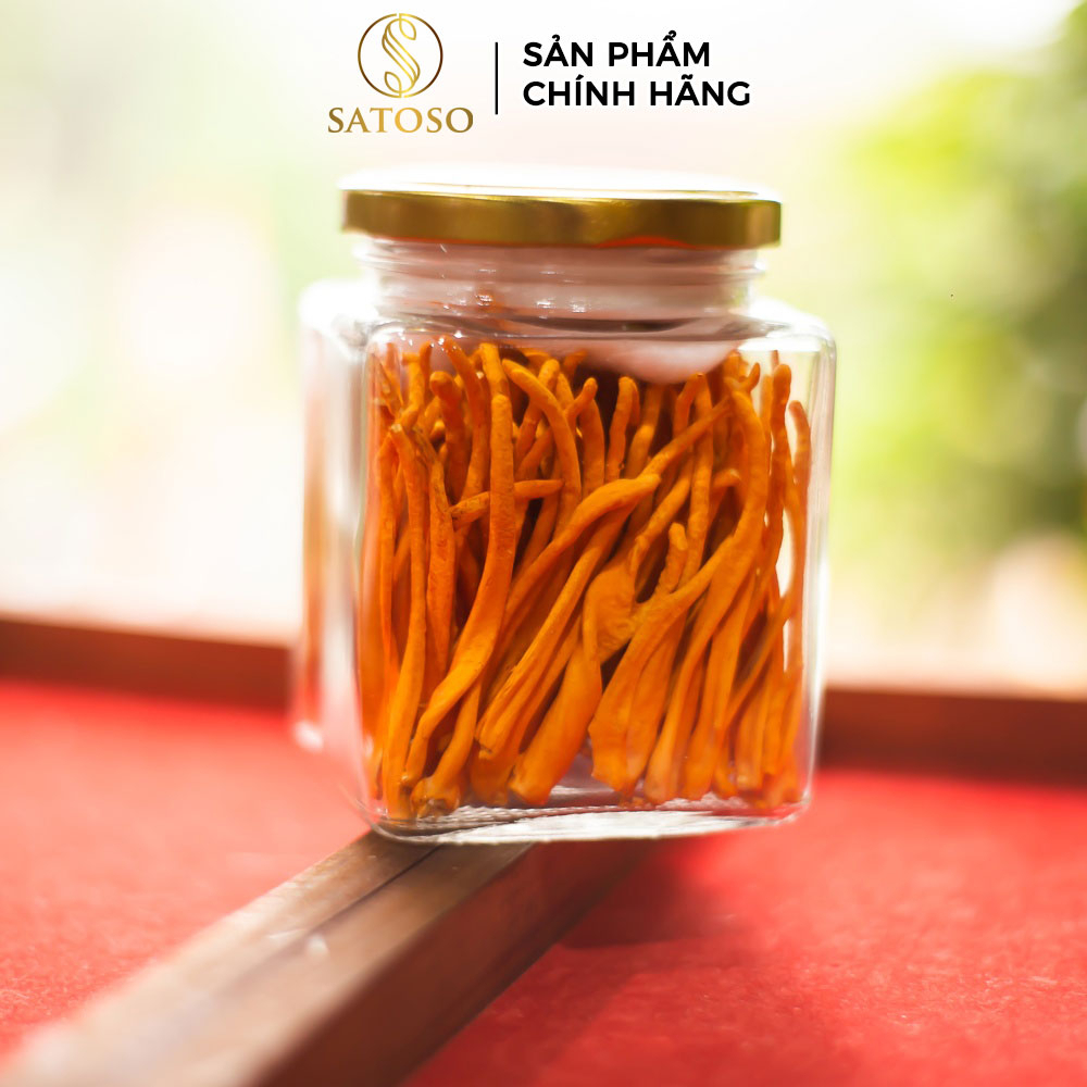 Đông Trùng Hạ Thảo Sấy Khô VIP1 SATOSO 30g Thượng Hạng, Tốt Cho Sức Khỏe, Bồi Bổ Tự Nhiên - Ảnh 3